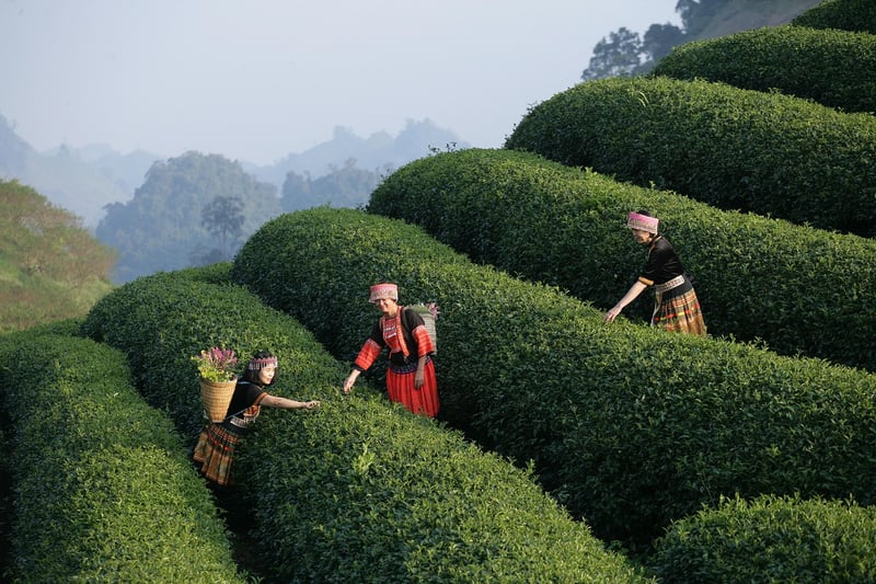 Sustainable Tours